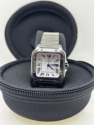11910 - Cartier - WSSA0029 (2023, Extra Strap) - Polished - Card & Box