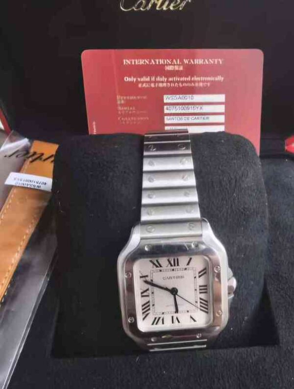 12502 - Cartier WSSA0010