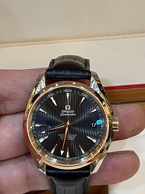 13057 - Omega - 231.23.42.21.06.003 - RETAIL READY - Watch Only