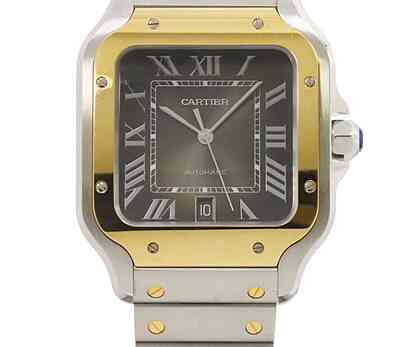 13413 - Cartier W2SA0030 - With Card
